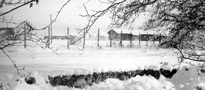 The Nováky forced labor camp, Slovakia. A view from outside The Nováky forced labor camp, Slovakia. A view from outside
