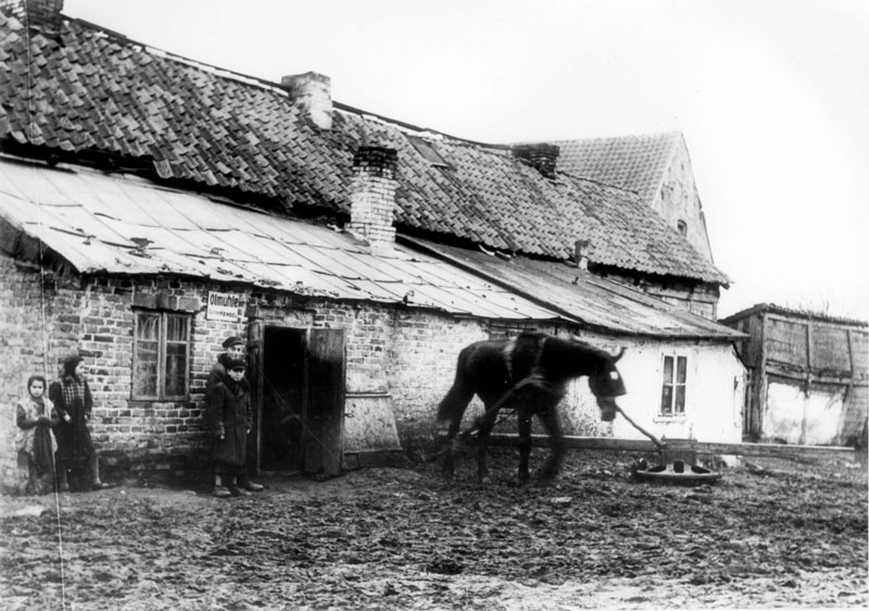 A Jewish business in Plonsk, 1940 A Jewish business in Plonsk, 1940