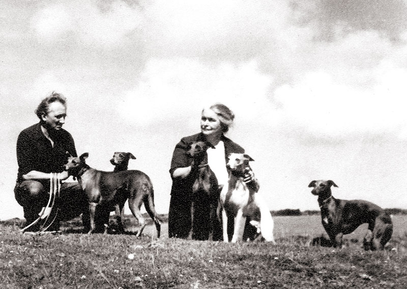 Sofka with her dogs. Bodmin Moor, 1967 Sofka with her dogs. Bodmin Moor, 1967