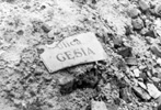 A sign reading “Gęsia Street”, found in the ruble of the ruins in the Warsaw Ghetto A sign reading “Gęsia Street”, found in the ruble of the ruins in the Warsaw Ghetto