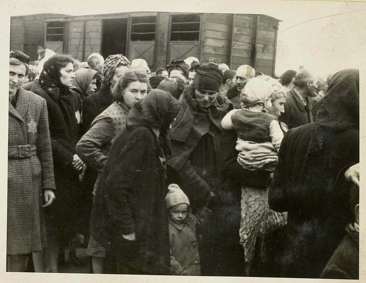 The Auschwitz Album