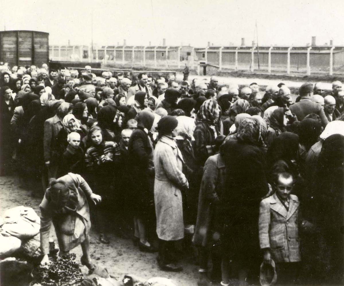 The Auschwitz Album: The Story of a Transport: Amazon.co.uk