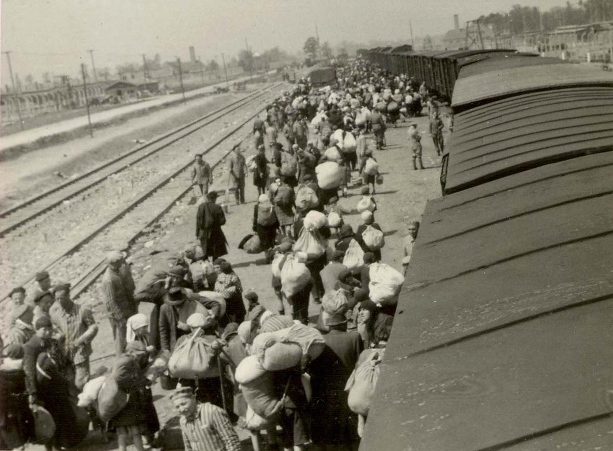 The Jews who just arrived are taking care of their property