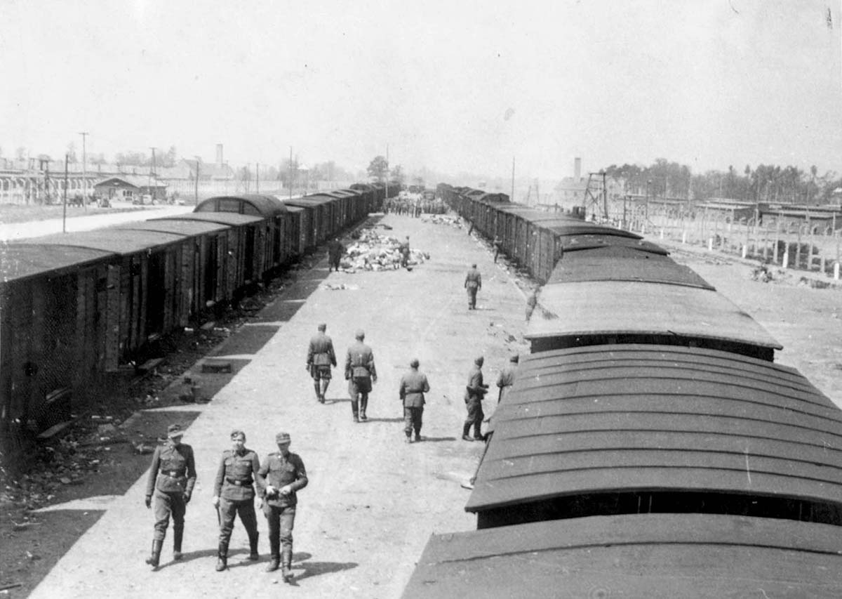 The Auschwitz Album