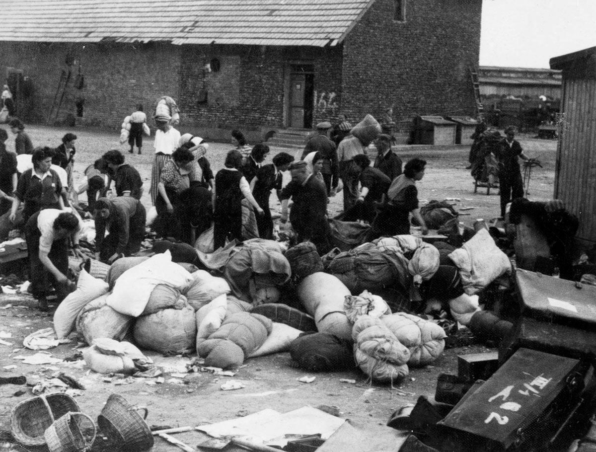 Male and female prisoners in the "Kanada" section, the arrival of the trucks, and the initial sorting outside the barracks