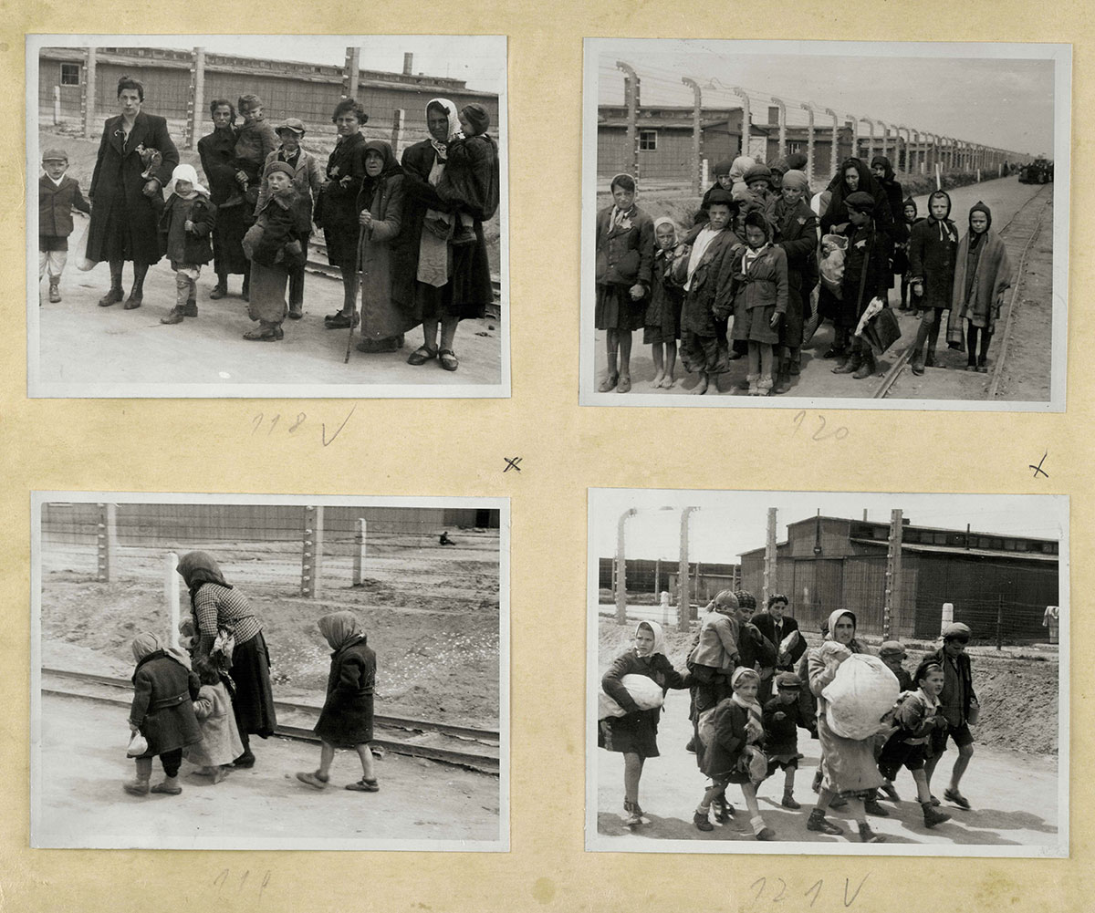 The undressing rooms of the gas chambers were not sufficient for the masses of Hungarian Jews who arrived daily in the summer of 1944. They therefore had to wait until the undressing rooms were ready to absorb them. The common waiting place was the grove closest to the crematorium
