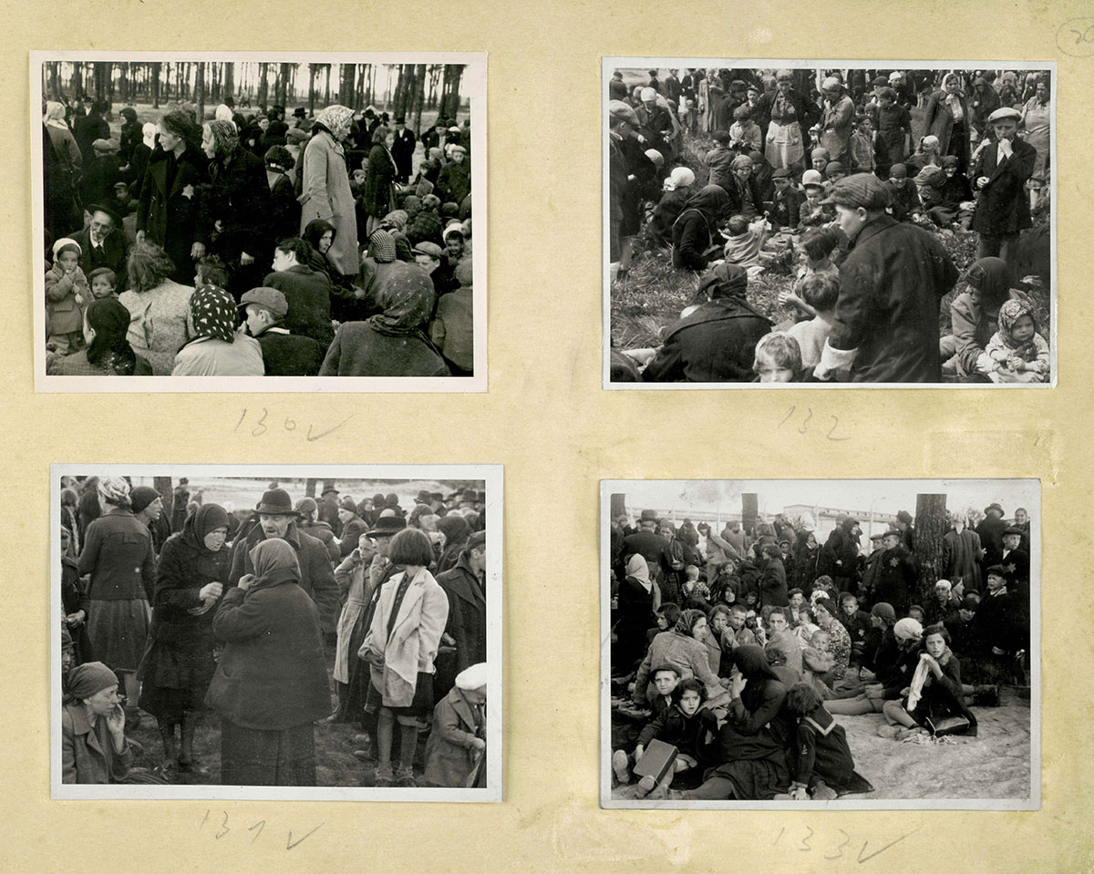 The undressing rooms of the gas chambers were not sufficient for the masses of Hungarian Jews who arrived daily in the summer of 1944. They therefore had to wait until the undressing rooms were ready to absorb them. The common waiting place was the grove closest to the crematorium