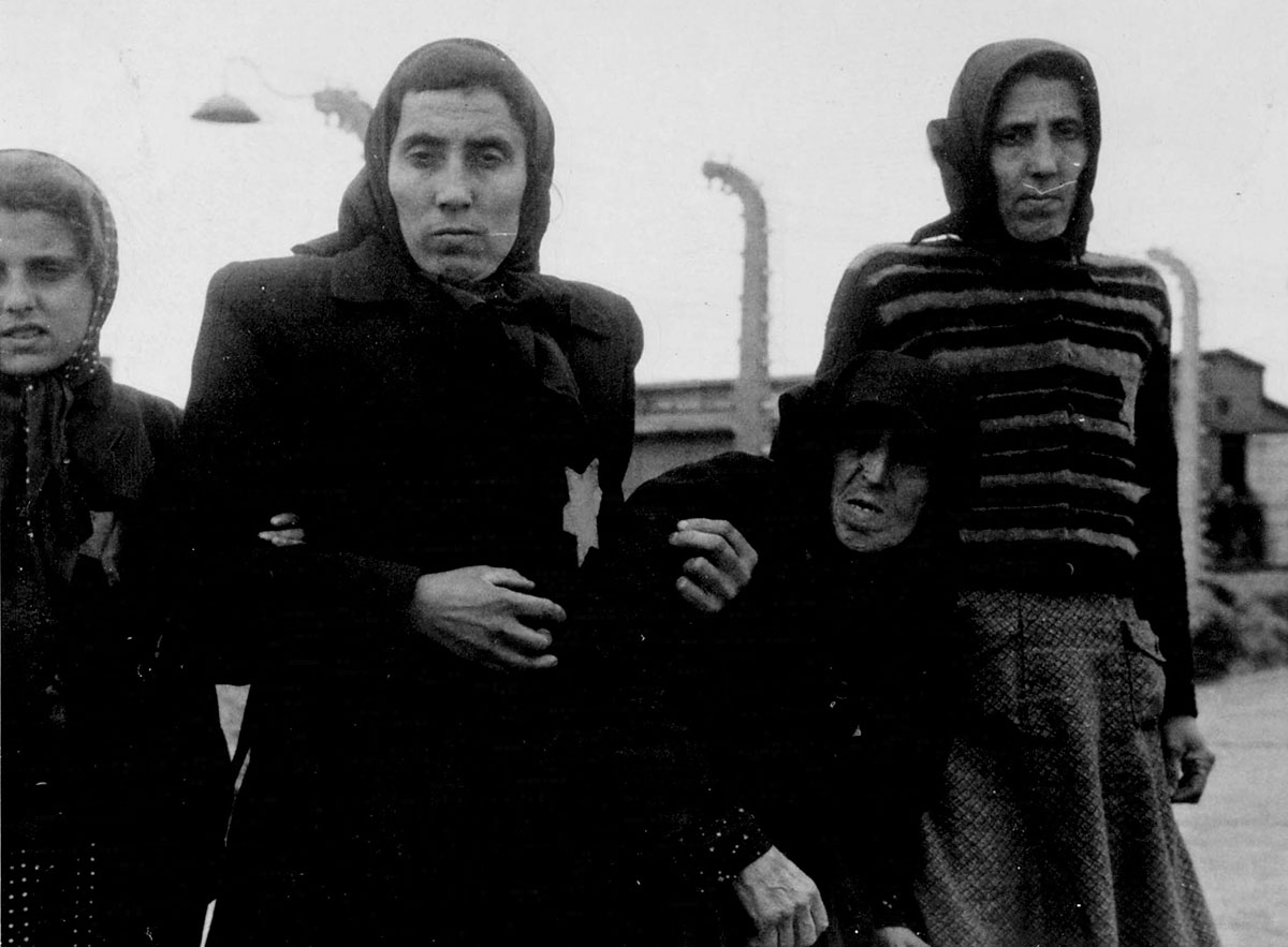 Jewish women and children forced to walk towards the gas chambers
