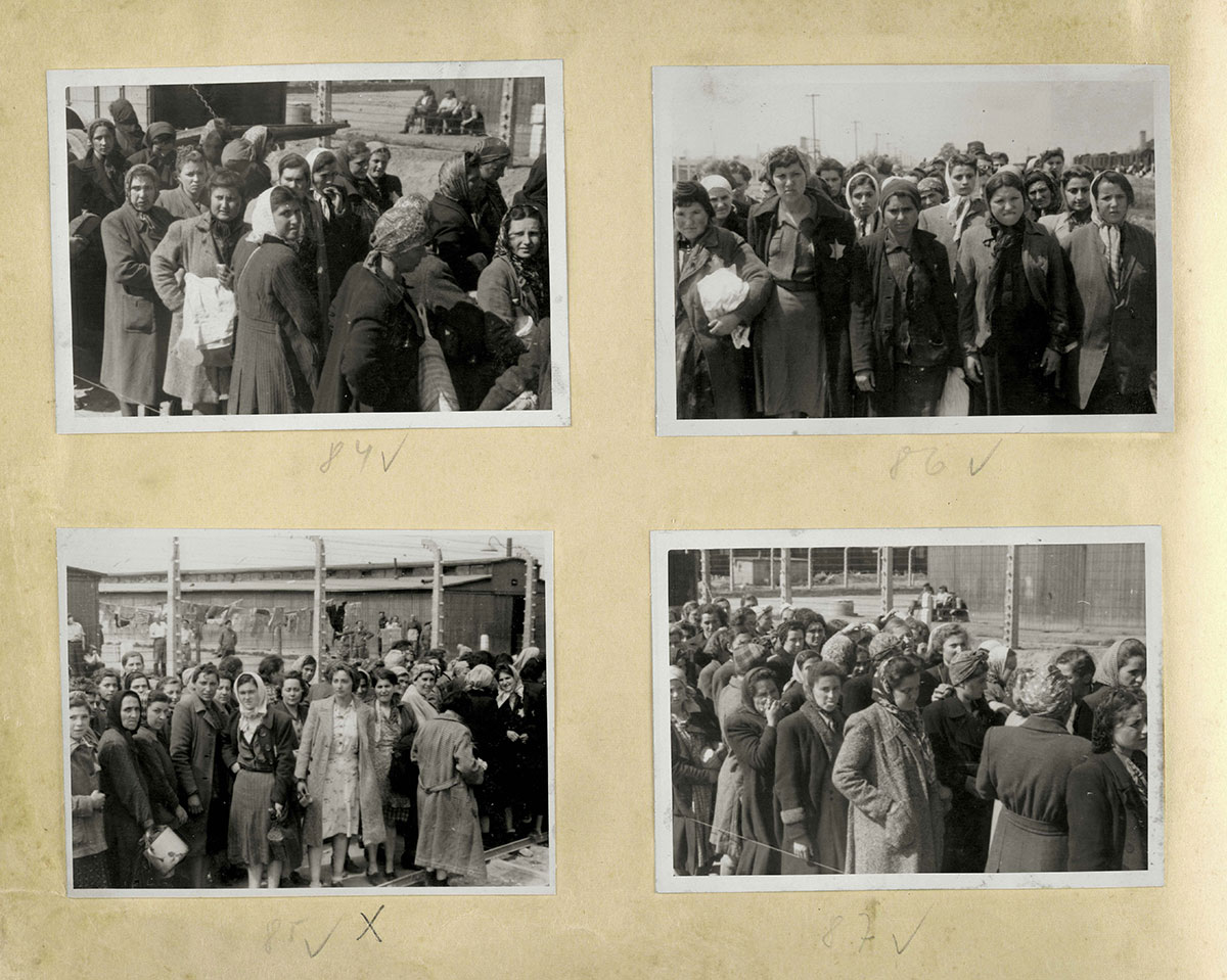 Jewish women who have been selected for slave labor