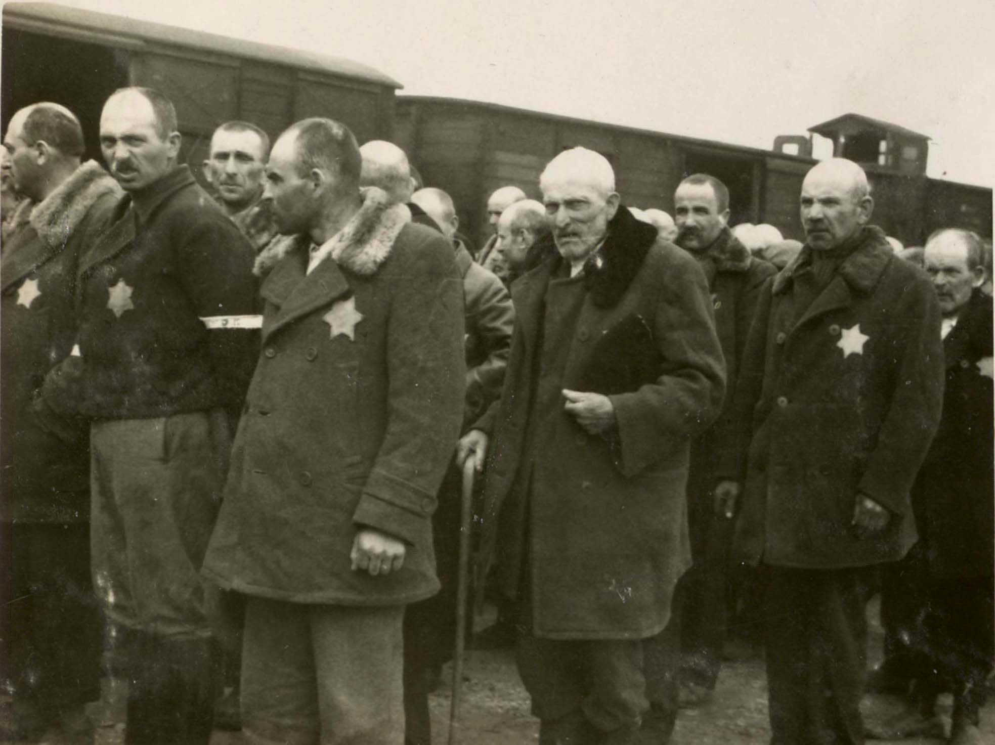 Jews forced to stand in line before the beginning of the selection