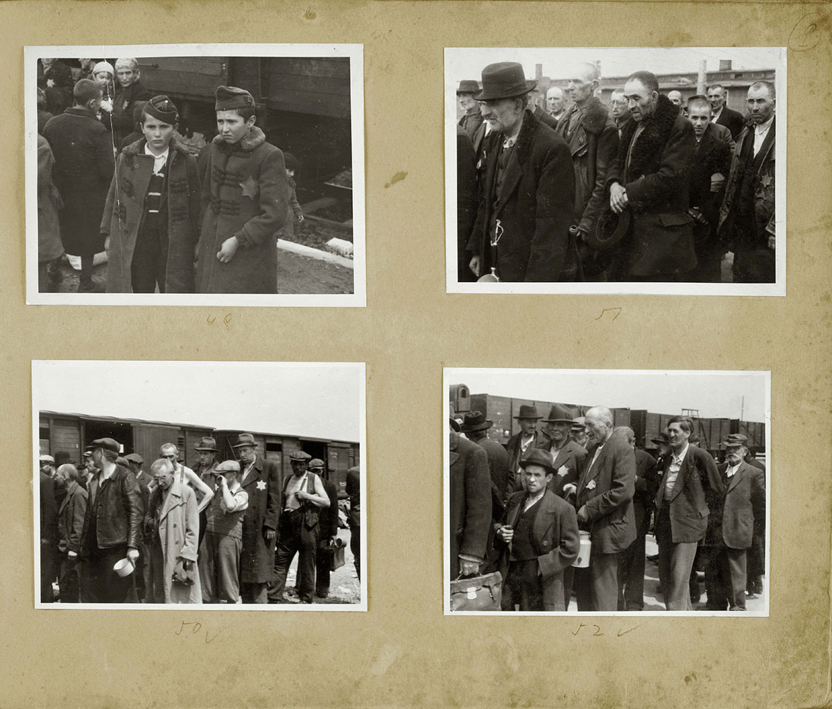 Jews forced to stand in line before the beginning of the selection