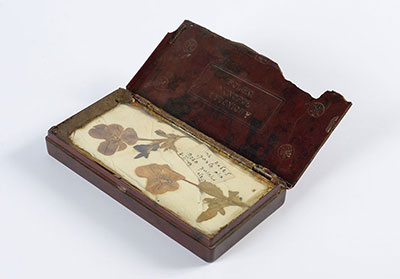 Box Holding Dried Flowers and a Dedication: "To my brother Shlomo on your Birthday, from your Sister Hadassah. Lindenfels, 7 June 1947"