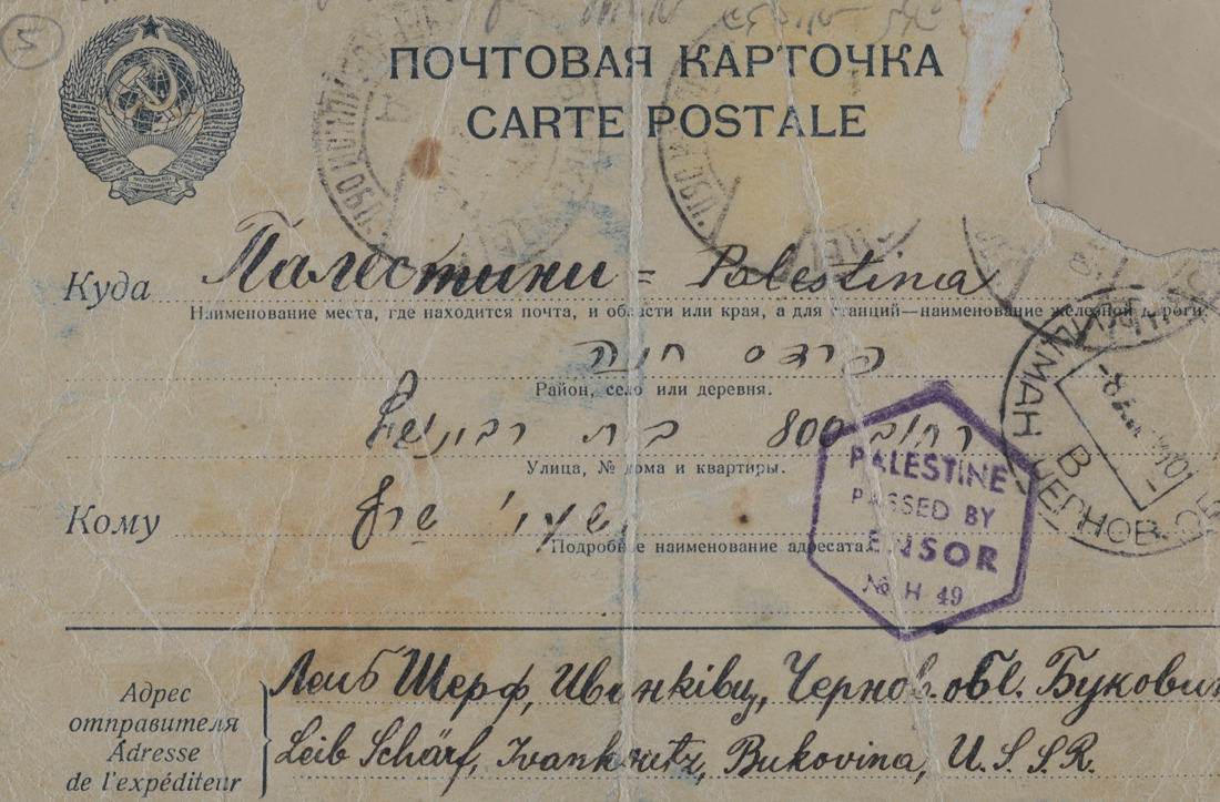 The Scharf Family  - Romania
