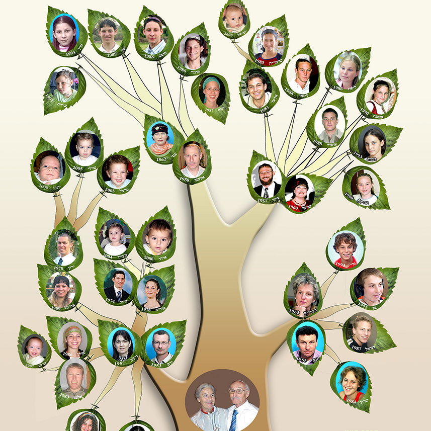 Sophie’s family tree