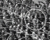 Augusto Landmesser en la botadura de una nave de entrenamiento nazi, Alemania, 30 de junio de 1936. 
rarehistoricalphotos.com