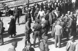 Selección en la rampa de Birkenau (27/5/1944). 
Archivo fotográfico de Yad Vashem.