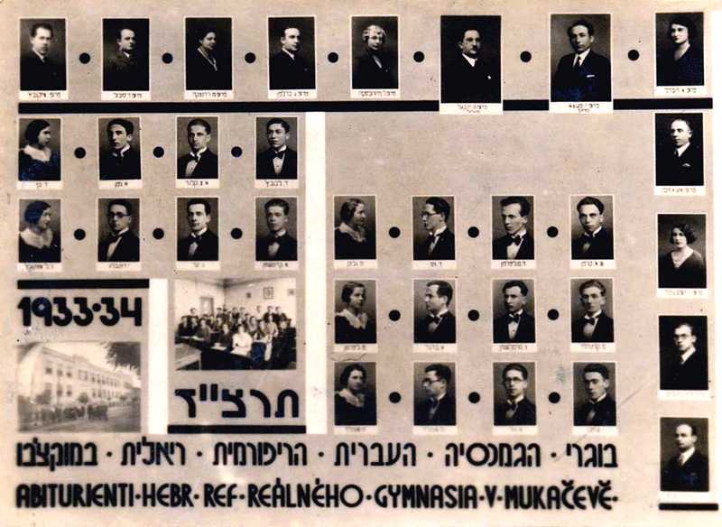 "הבטחה ומגמה" המסמך