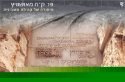 19 ק"מ מאושוויץ. סיפורה של קהילת טשביניה