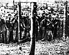 Майданек, Польша. Освобожденные заключенные.