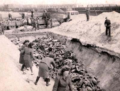Берген-Бельзен, Германия, 1945. После освобождения: бывшие надзирательницы хоронят трупы заключенных в массовой могиле.