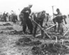 Дахау, Германия. После освобождения: местные жители роют могилы для погибших заключенных лагеря.