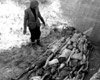 Варшава, Польша, 19/09/1941. Массовая могила в гетто.