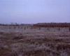 Купище, Украина, 2003. Фотография массового захоронения 396 евреев, депортированных из Венгрии.
