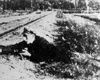 Вильнюс, Литва. Борис Йохай, убит во время партизанской операции.