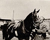 Краков, Польша, 1942. Оскар Шиндлер.