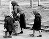 Аушвиц-Биркенау, Польша. Женщина и дети, признанные непригодными к работе, на пути в газовые камеры.