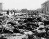 Борисов, Белоруссия, лето 1944. После освобождения: трупы на территории лагеря.