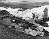 Керчь, Крым, январь 1942. Тела убитых евреев.