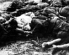 Киев, Украина, 6/11/1943. Тела евреев, расстрелянных в одном из дворов по ул. Михайловской в день освобождения Киева Красной Армией.