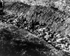 Бабий Яр, Украина, сентябрь, 1941-го года. Общий вид на ров, наполненный трупами.