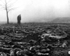 Сырецк, Украина, ноябрь 1943-го года. Жительница Киева разыскивает среди тел евреев-узников Сырецкого лагеря своих родных.