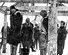 Россия. Немецкие солдаты стоят рядом с повешенными евреями.