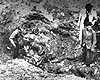 Львов, Украина. Эксгумация тел евреев, убитых в 1941 году.