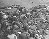Понары, Литва. Тела убитых советских военнопленных.